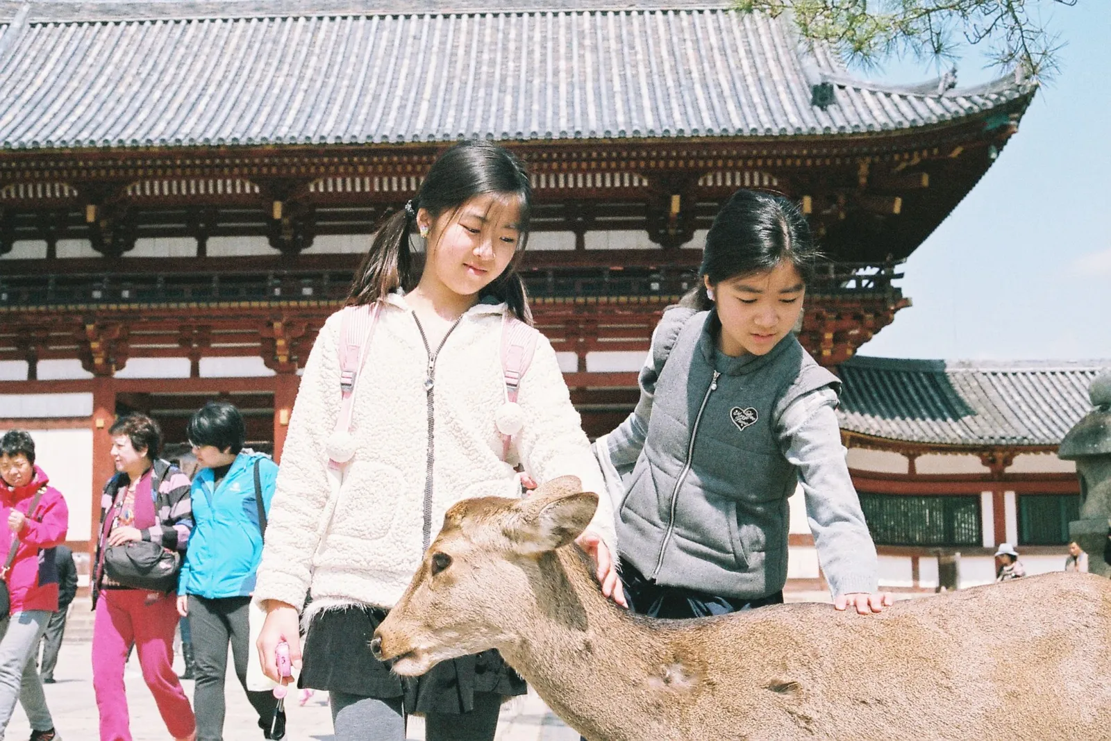 Family trip to Japan: two girls feeding a deer outside Todai-ji temple in Nara